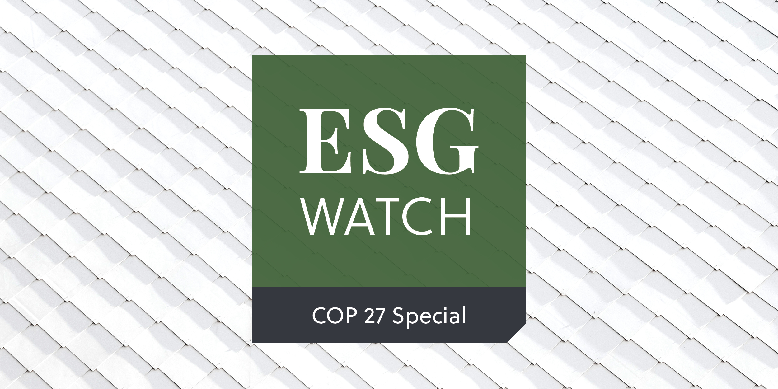 ESG Watch COP27 Special
